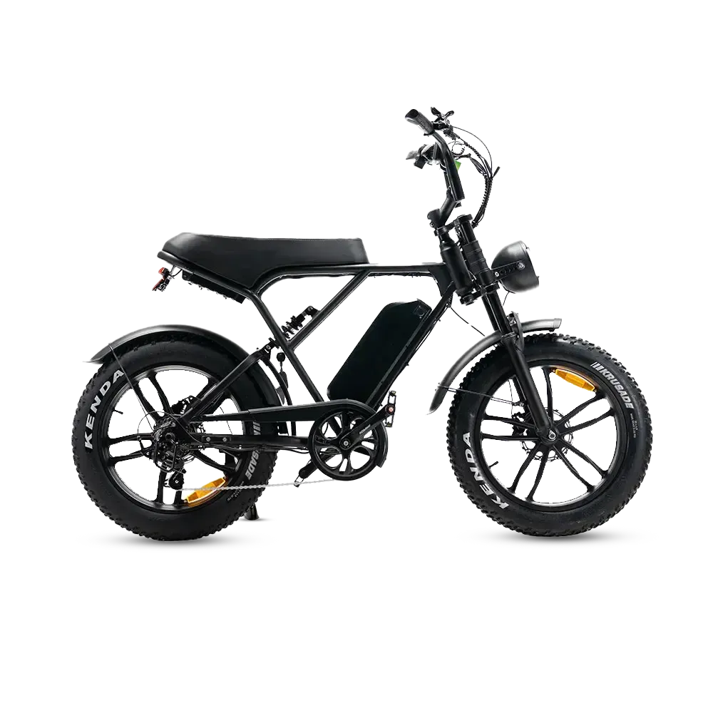 Fatbikes