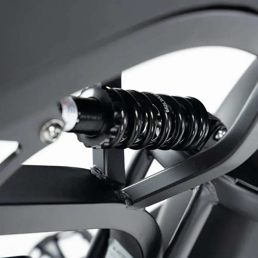 V20 Pro Plus Elektrische Fatbike | Black Edition