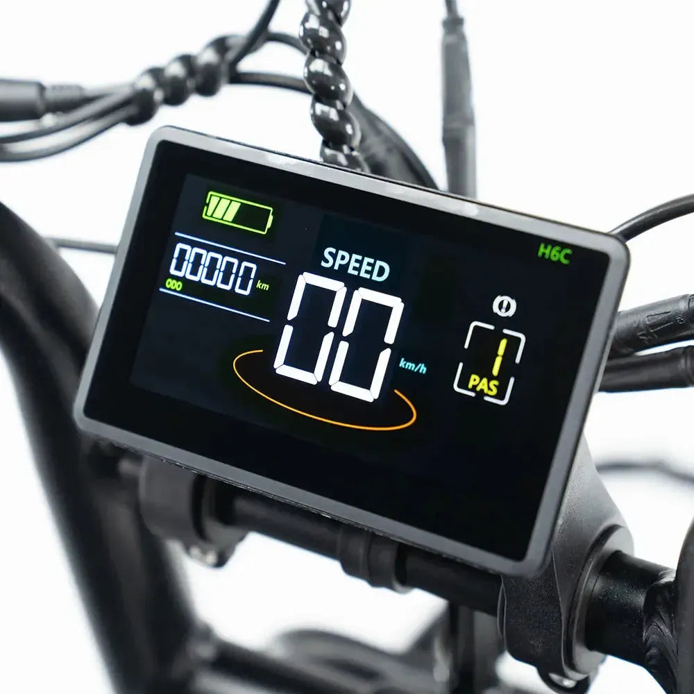V20 Pro Plus Elektrische Fatbike | Black Edition